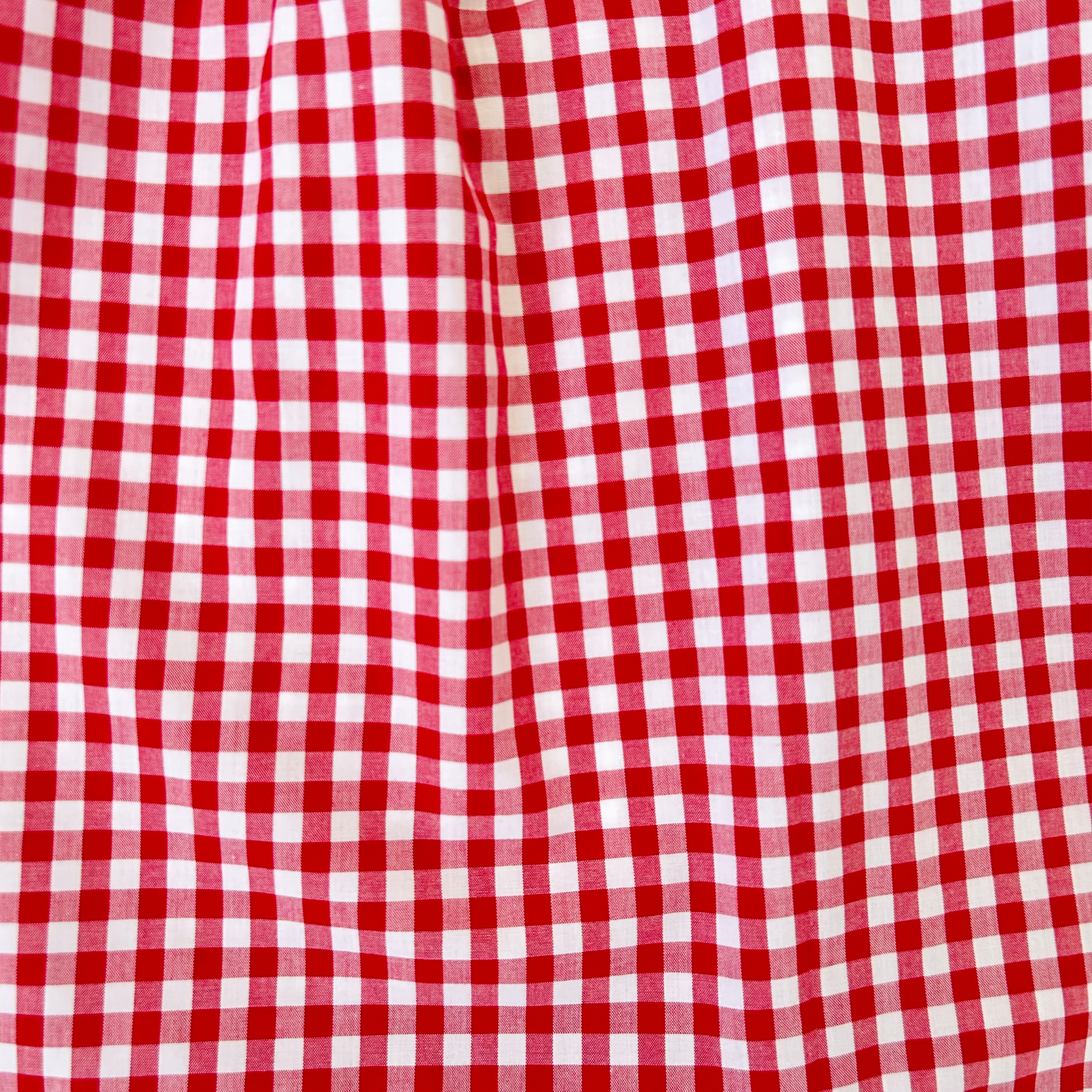 Red Gingham Love Flutter Dress