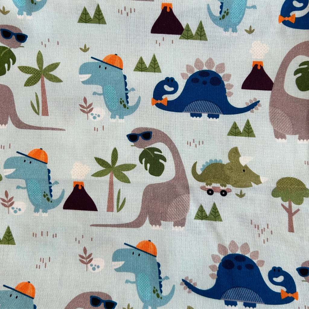 Dinosaur Adventures Singlet & Bloomer Set