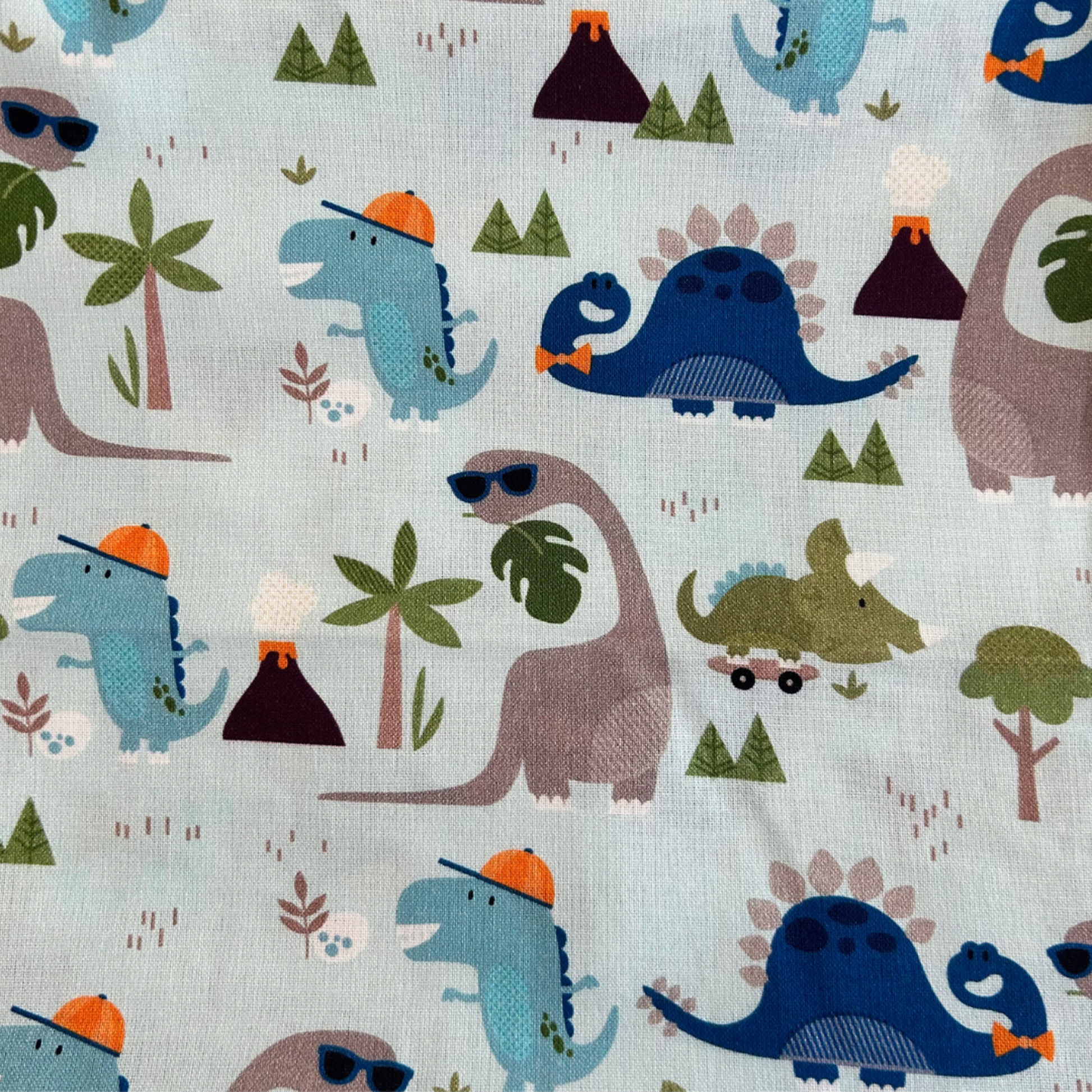 Dinosaur Adventures Singlet & Bloomer Set