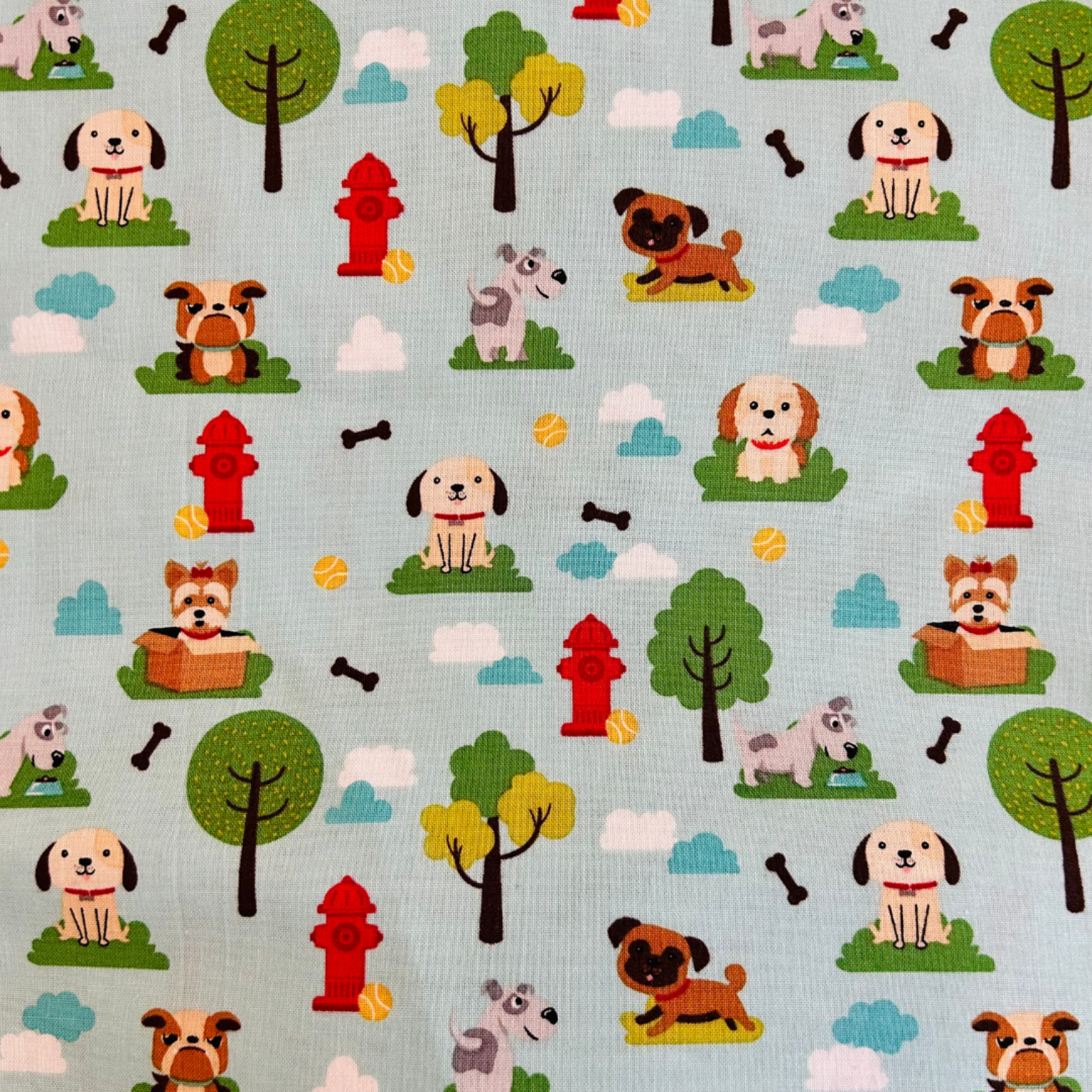 Dogs Day Out Singlet & Bloomer Set