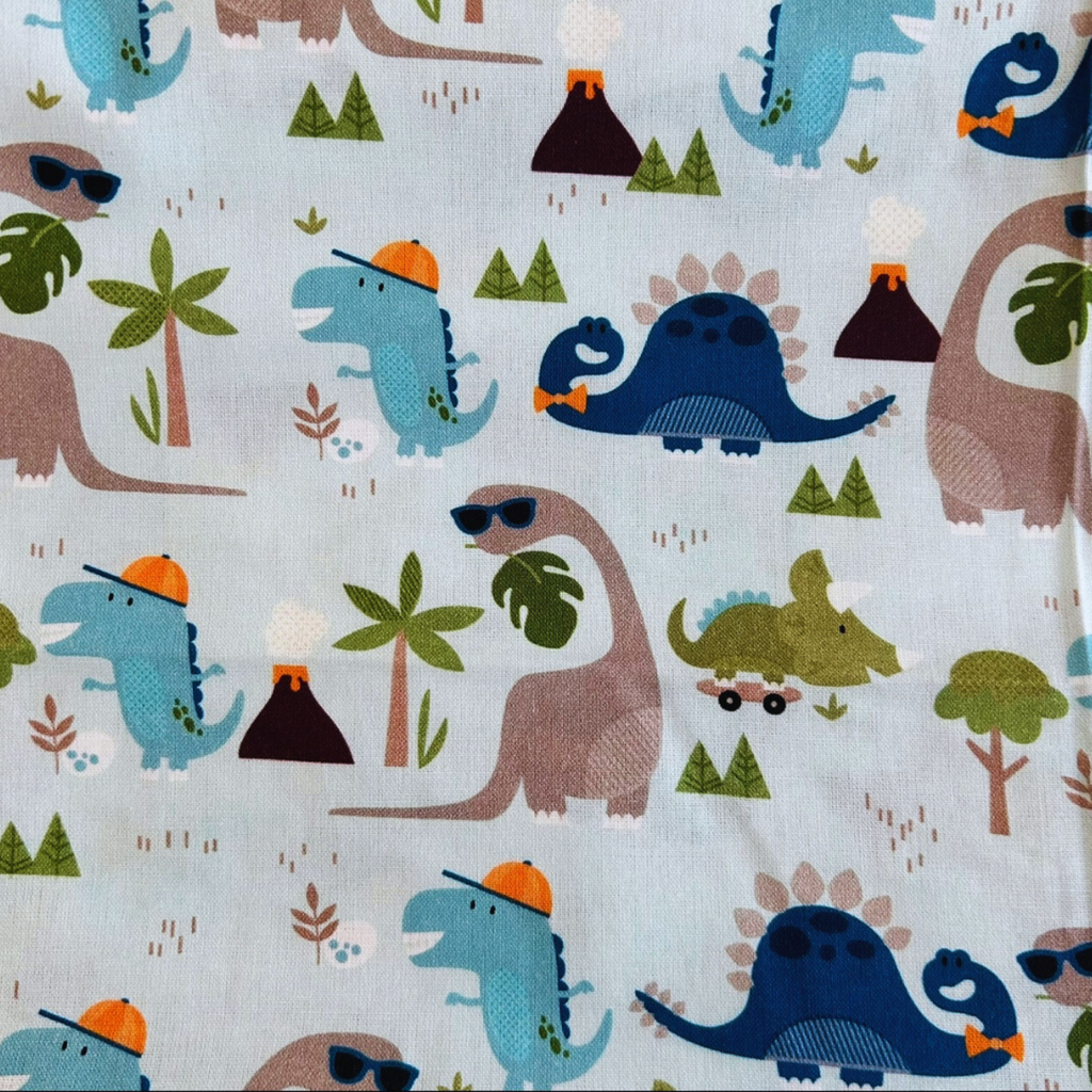 Dinosaur Adventures Overalls